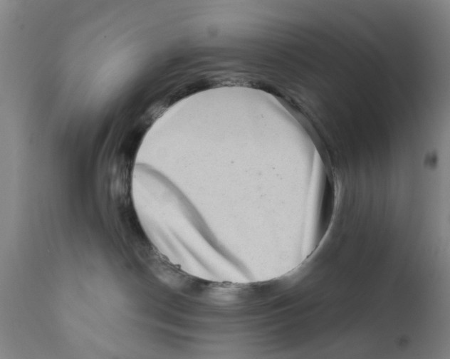 X0000111620190200908141327