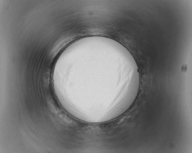 X0000111620194200908141327