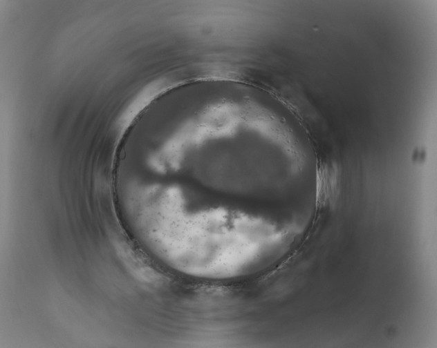 X0000111620195200908141327