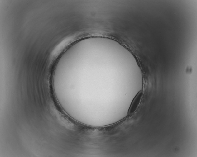 X0000111620197200908141327