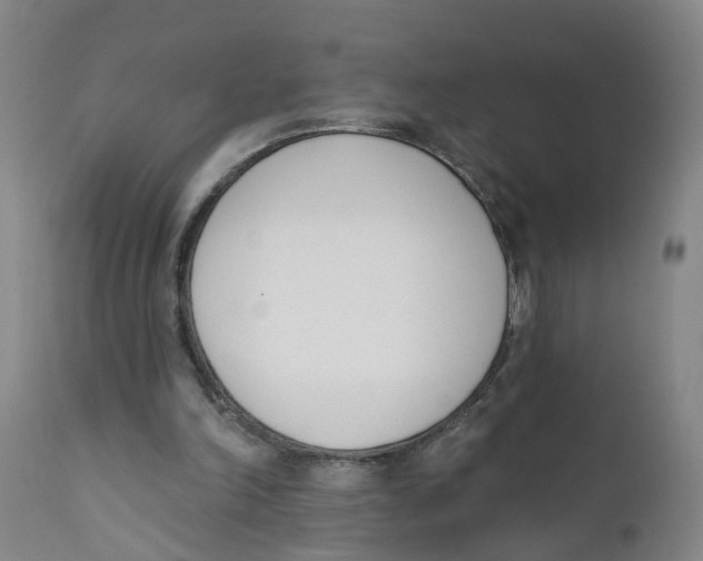 X0000111620198200908141327