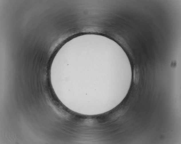 X0000111620204200908141327