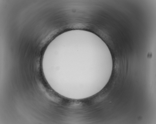 X0000111620206200908141326