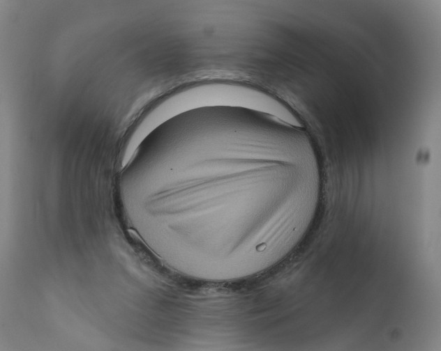 X0000111620207200908141326