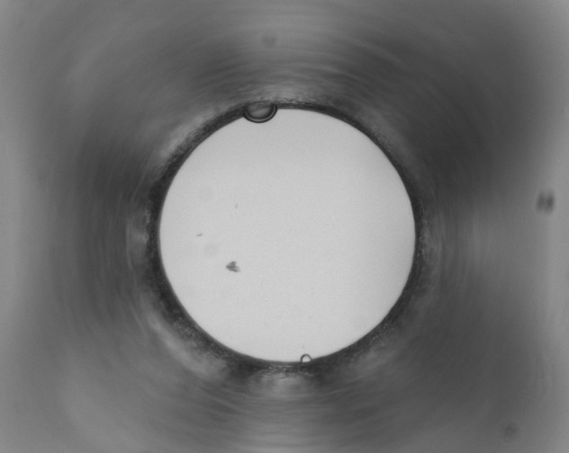 X0000111620208200908141326