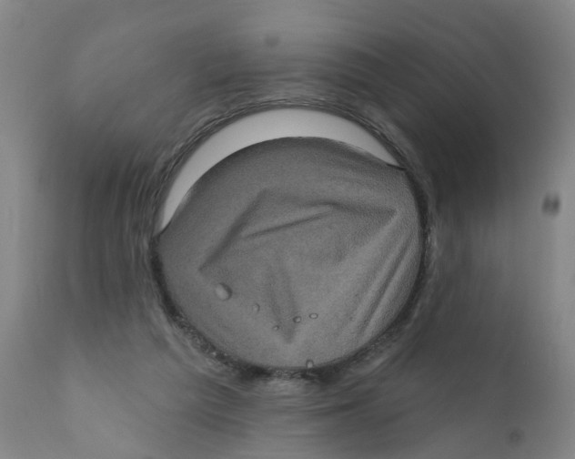 X0000111620209200908141326