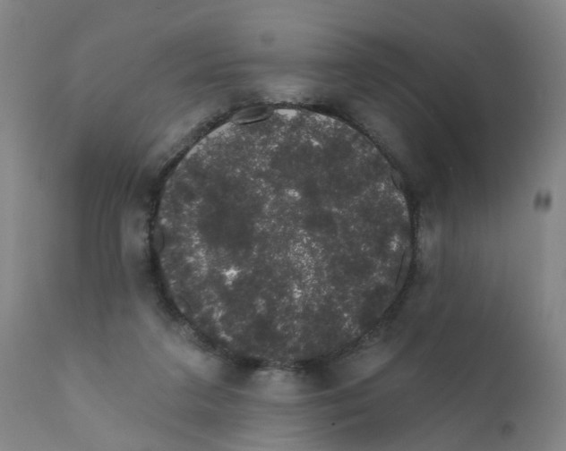 X0000111620211200908141326