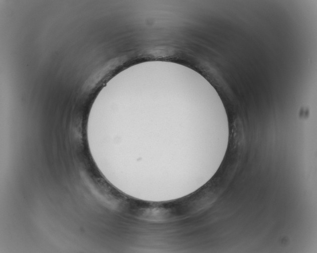 X0000111620212200908141326