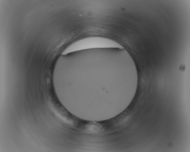 X0000111620215200908141326