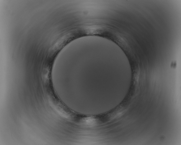 X0000111620219200908141326