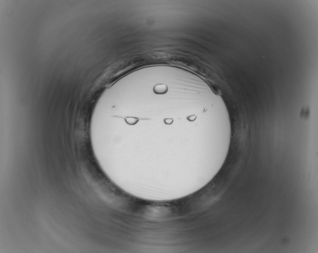 X0000111620220200908141326