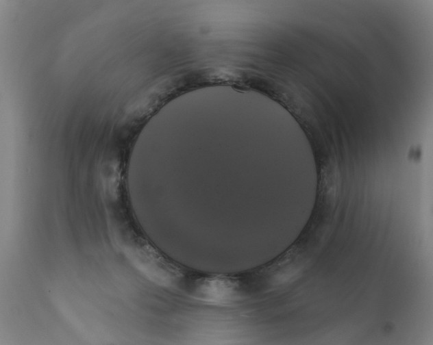 X0000111620223200908141326