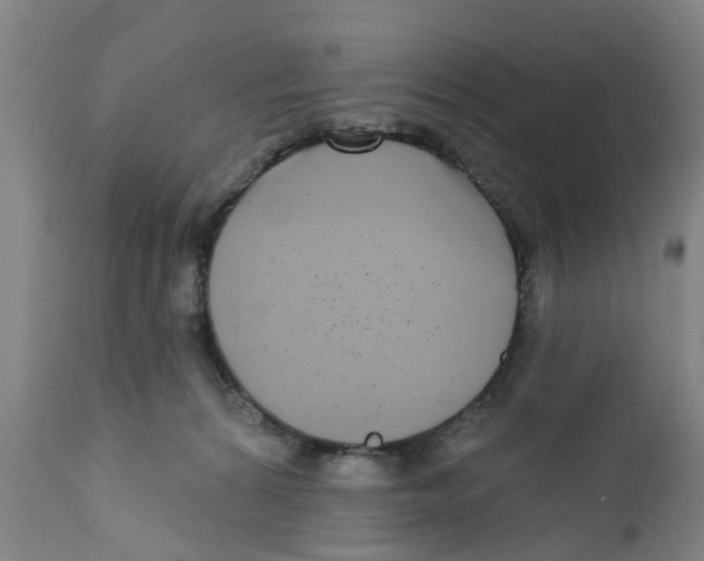 X0000111620224200908141326