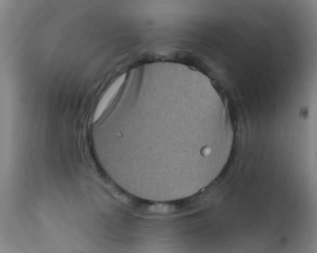 X0000111620225200908141326