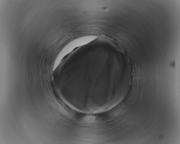 X0000111620227200908141326