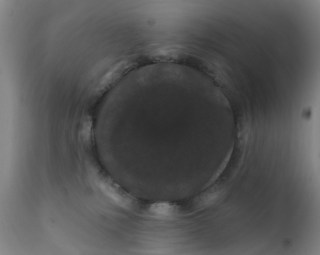 X0000111620231200908141326