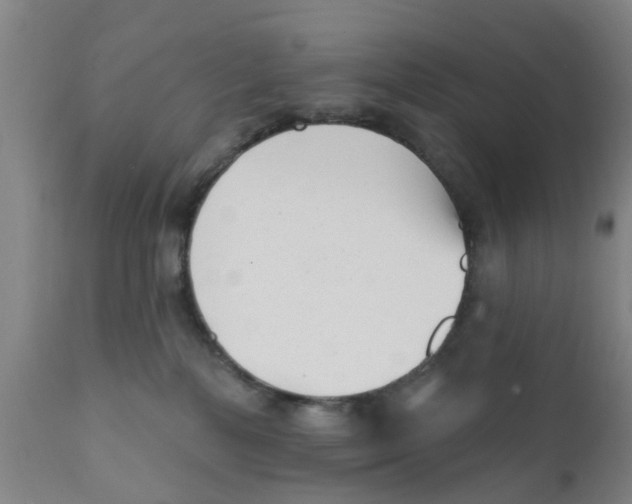 X0000111620232200908141326