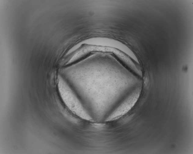 X0000111620233200908141326