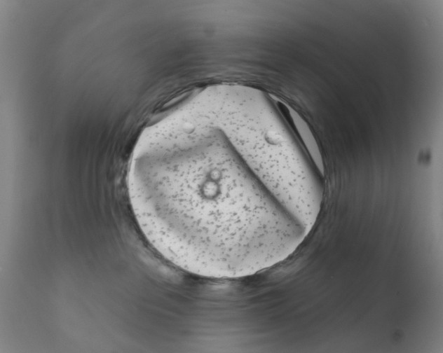 X0000111620237200908141326