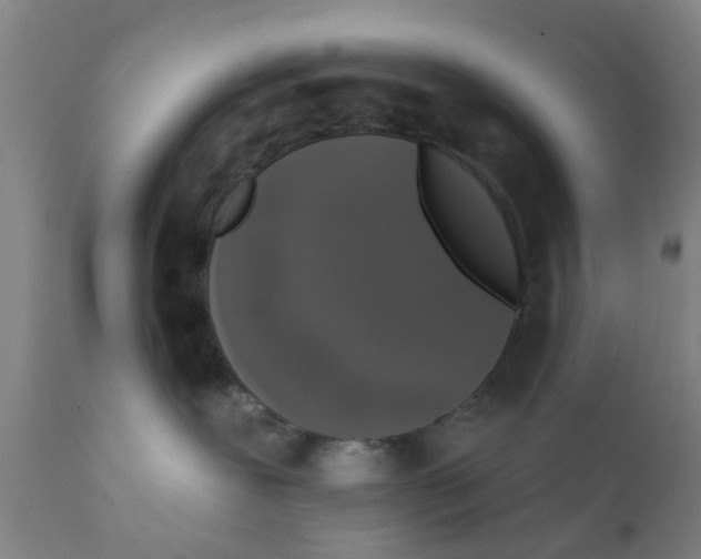 X0000111620239200908141326