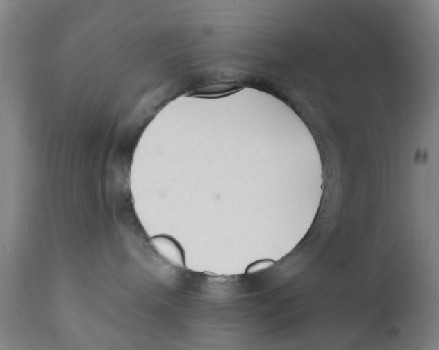 X0000111620240200908141326