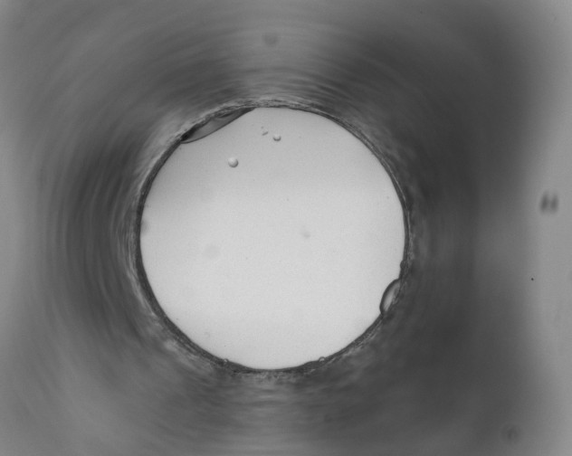 X0000111620241200908141325