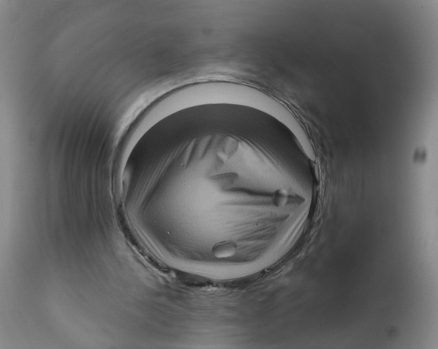 X0000111620244200908141325