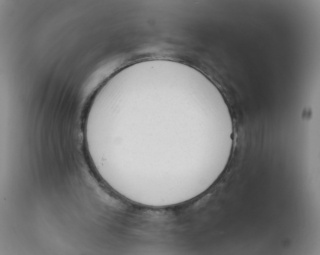 X0000111620245200908141325