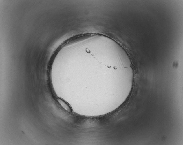 X0000111620248200908141325