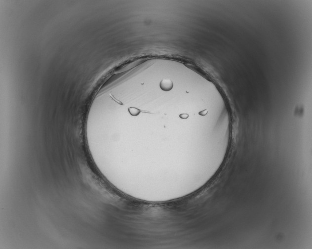 X0000111620249200908141325