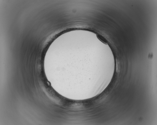 X0000111620252200908141326