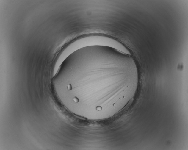 X0000111620256200908141326