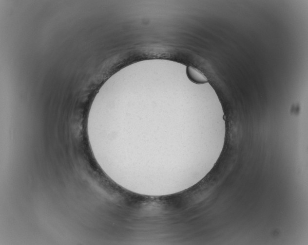 X0000111620259200908141326