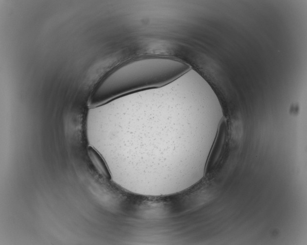 X0000111620260200908141326