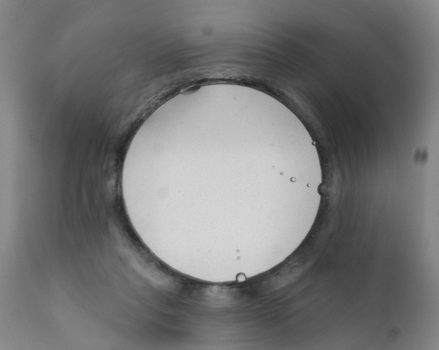 X0000111620261200908141326