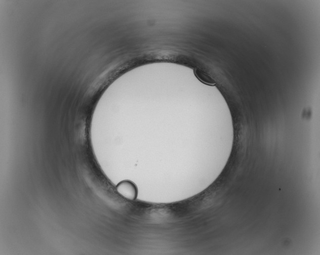 X0000111620262200908141326