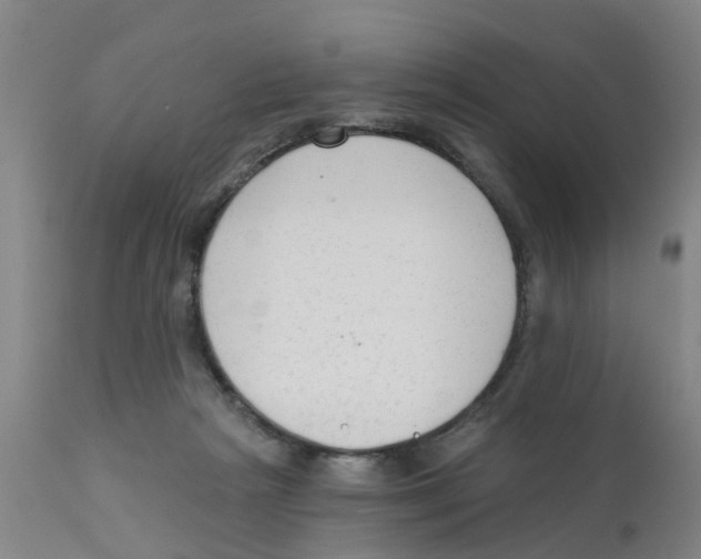 X0000111620265200908141326