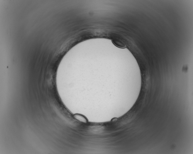 X0000111620266200908141326