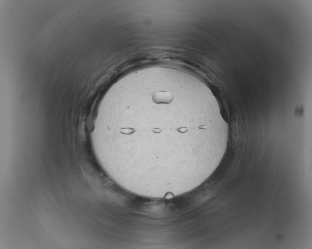 X0000111620267200908141326