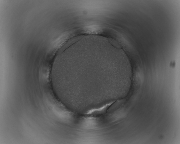 X0000111620268200908141326