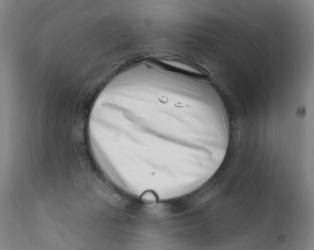 X0000111620269200908141326