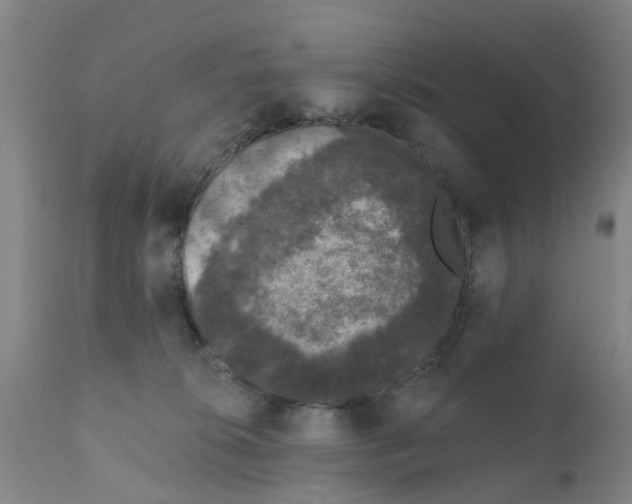 X0000111620276200908141326