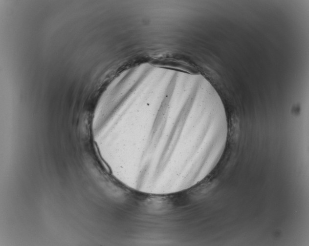 X0000111620280200908141326