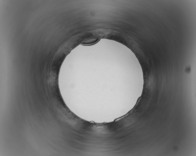 X0000111620283200908141326