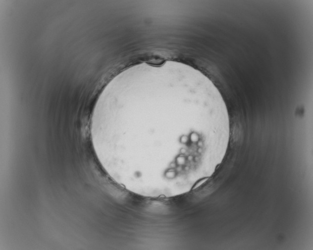 X0000111620285200908141326