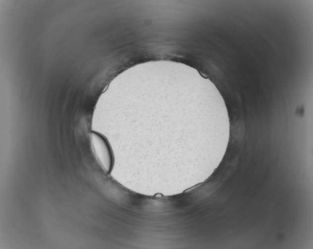 X0000111620286200908141326