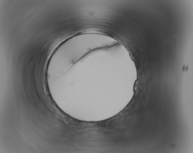 X0000111620289200908141325