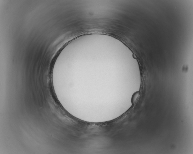 X0000111620290200908141325