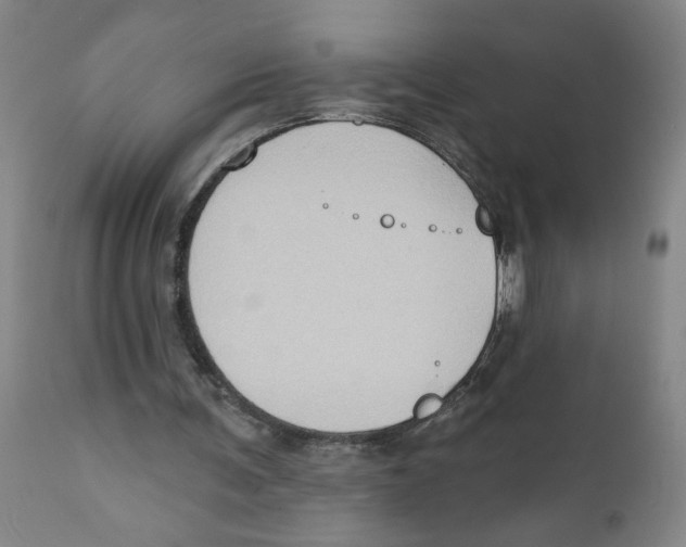 X0000111620291200908141325