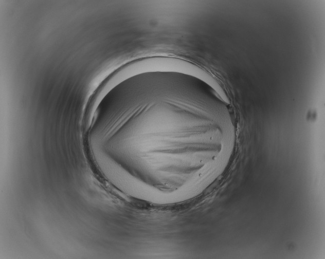 X0000111620292200908141325